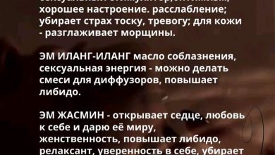 Photo of Секреты успешного ароматера