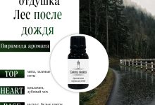 Photo of Аромат весеннего леса в доме