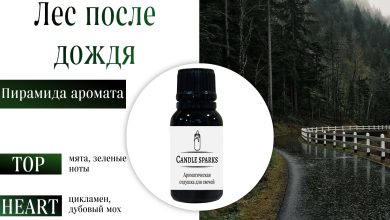 Photo of Аромат весеннего леса в доме