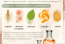 Photo of Польза природных ароматов для здоровья
