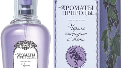 Photo of Ароматы природы: вдохновение для парфюмеров