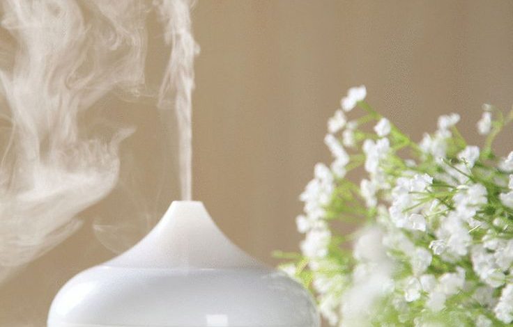 Photo of Аромат свежести в вашем доме