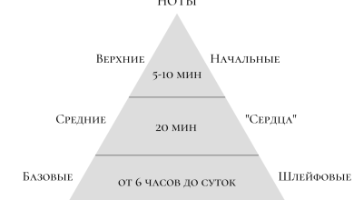 Photo of От создания до носа: процесс парфюмерии