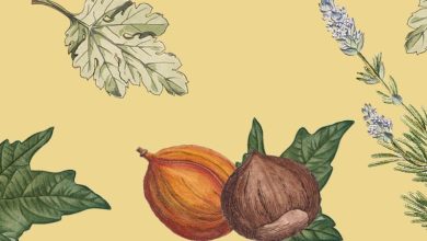 Photo of Эфирные масла для укрепления иммунитета